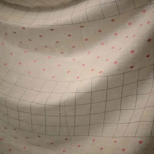 Allotment Raspberries Jamdani Indian Cotton - Image 2