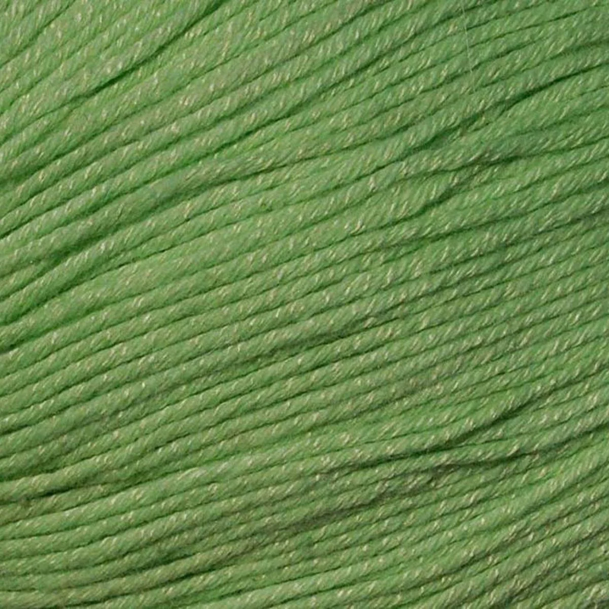 Bamboo Pop - Image 6