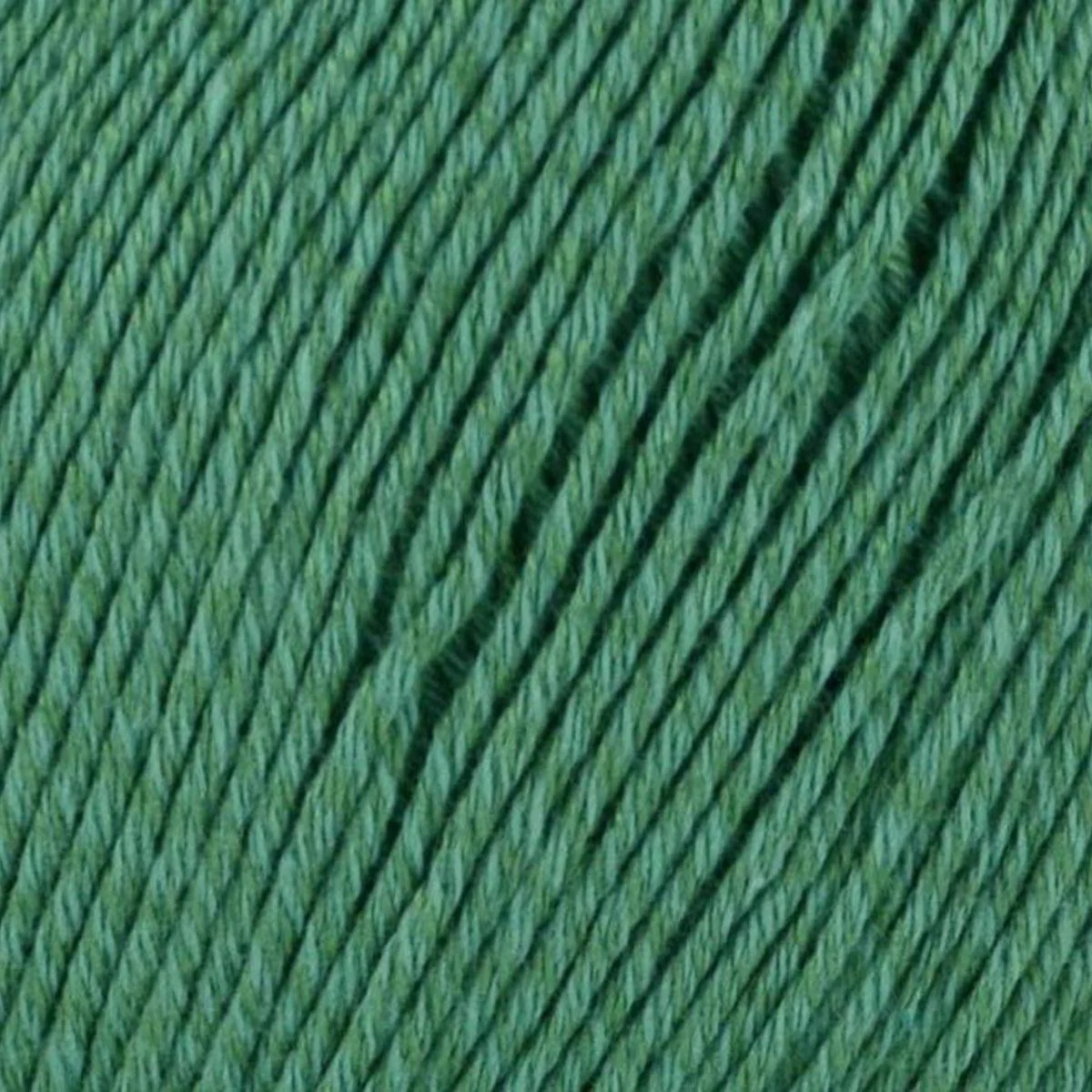 Bamboo Pop - Image 7