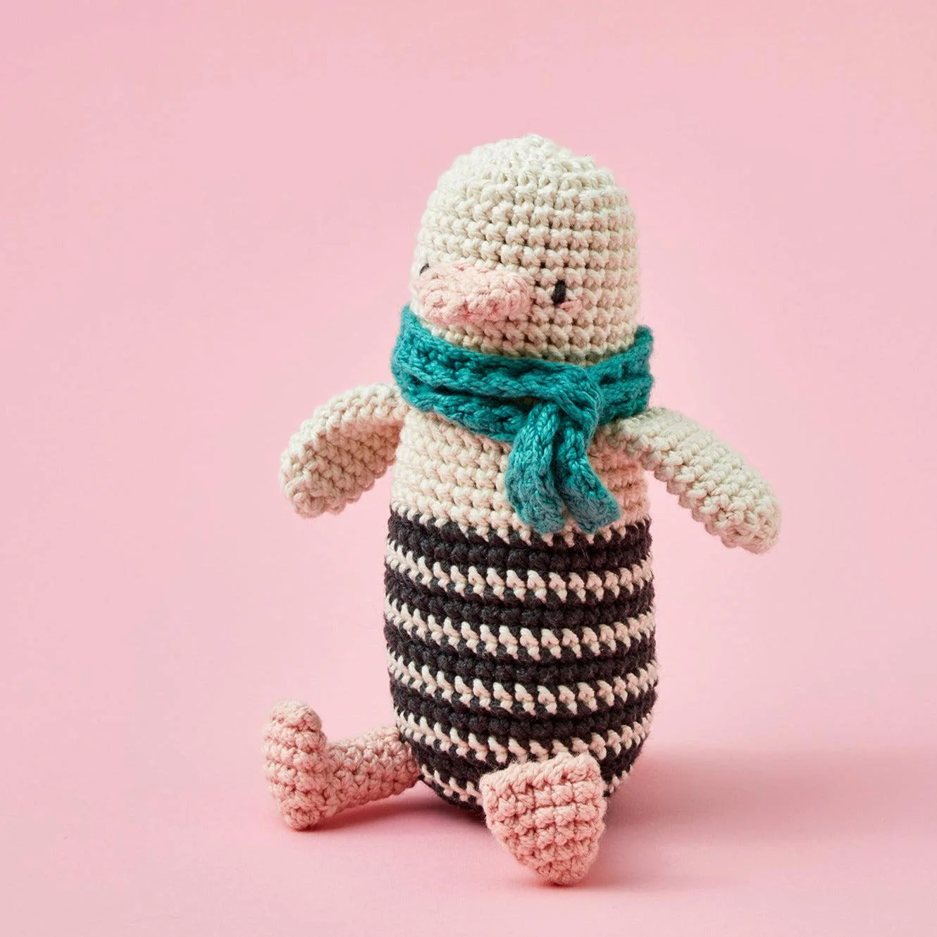 Beginner Amigurumi Crochet Kit