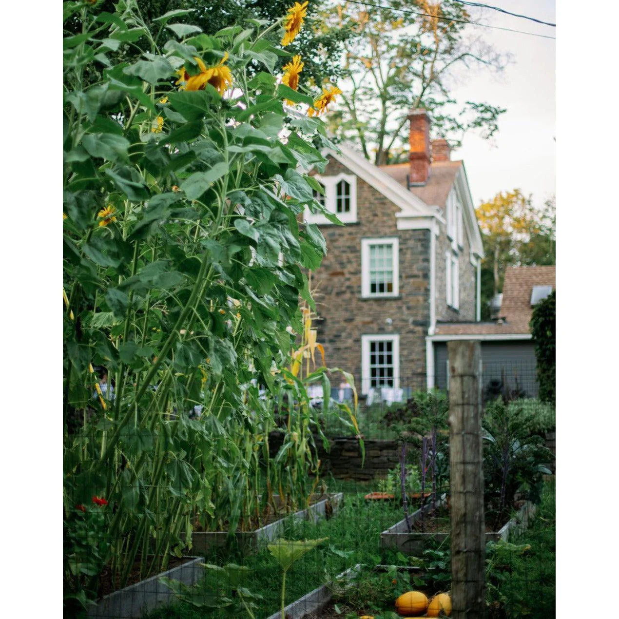 By Hand No 14, Hudson Valley - Image 8