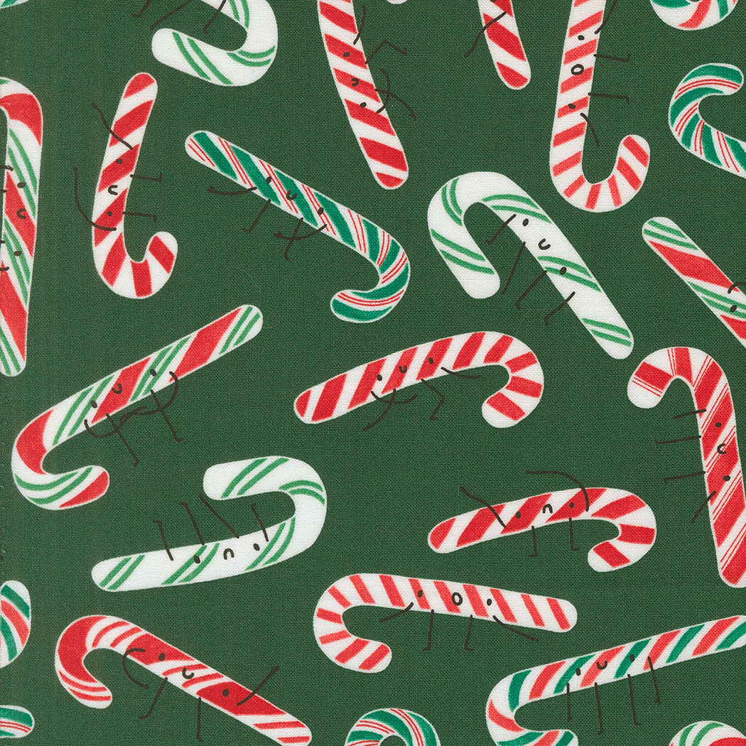 Candy Cane Pine
