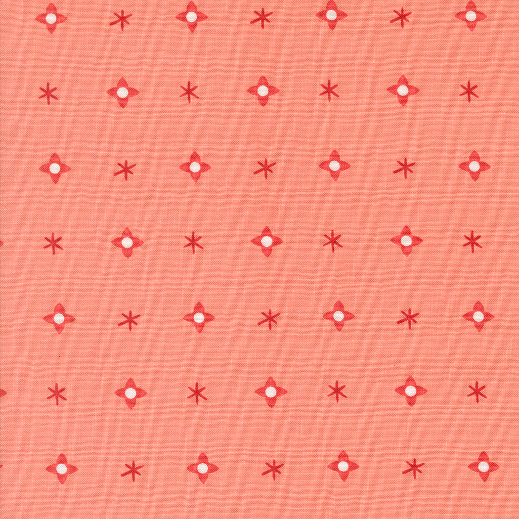 Christmas Star Carnation