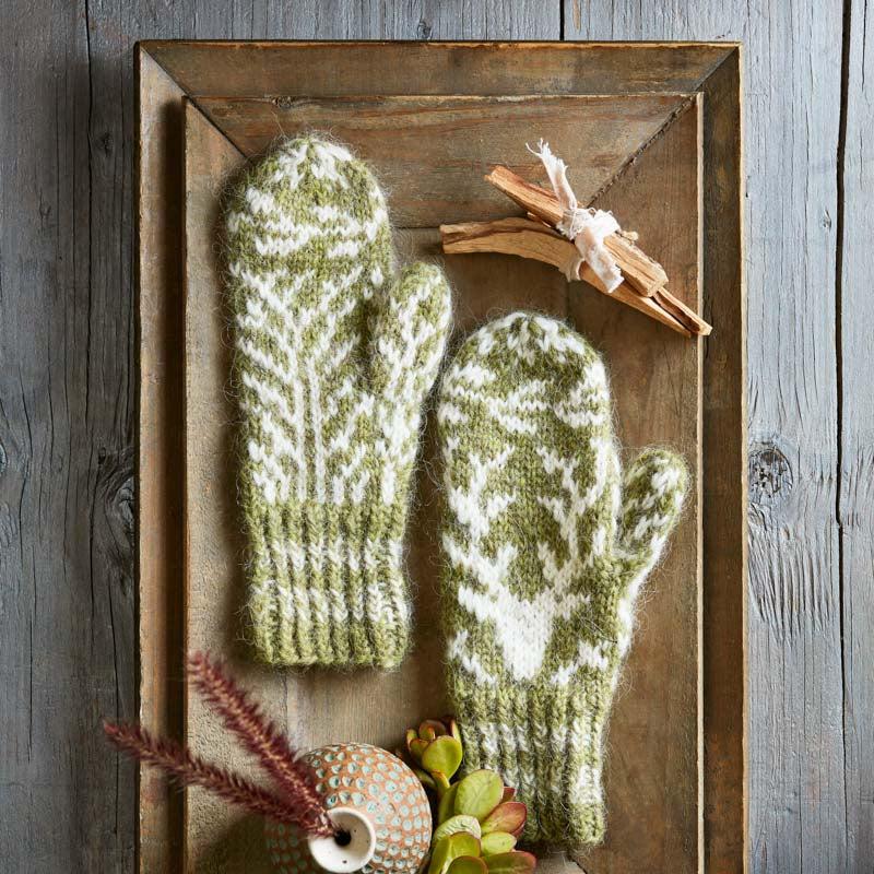 Field Guide No. 26: Moss - Image 5