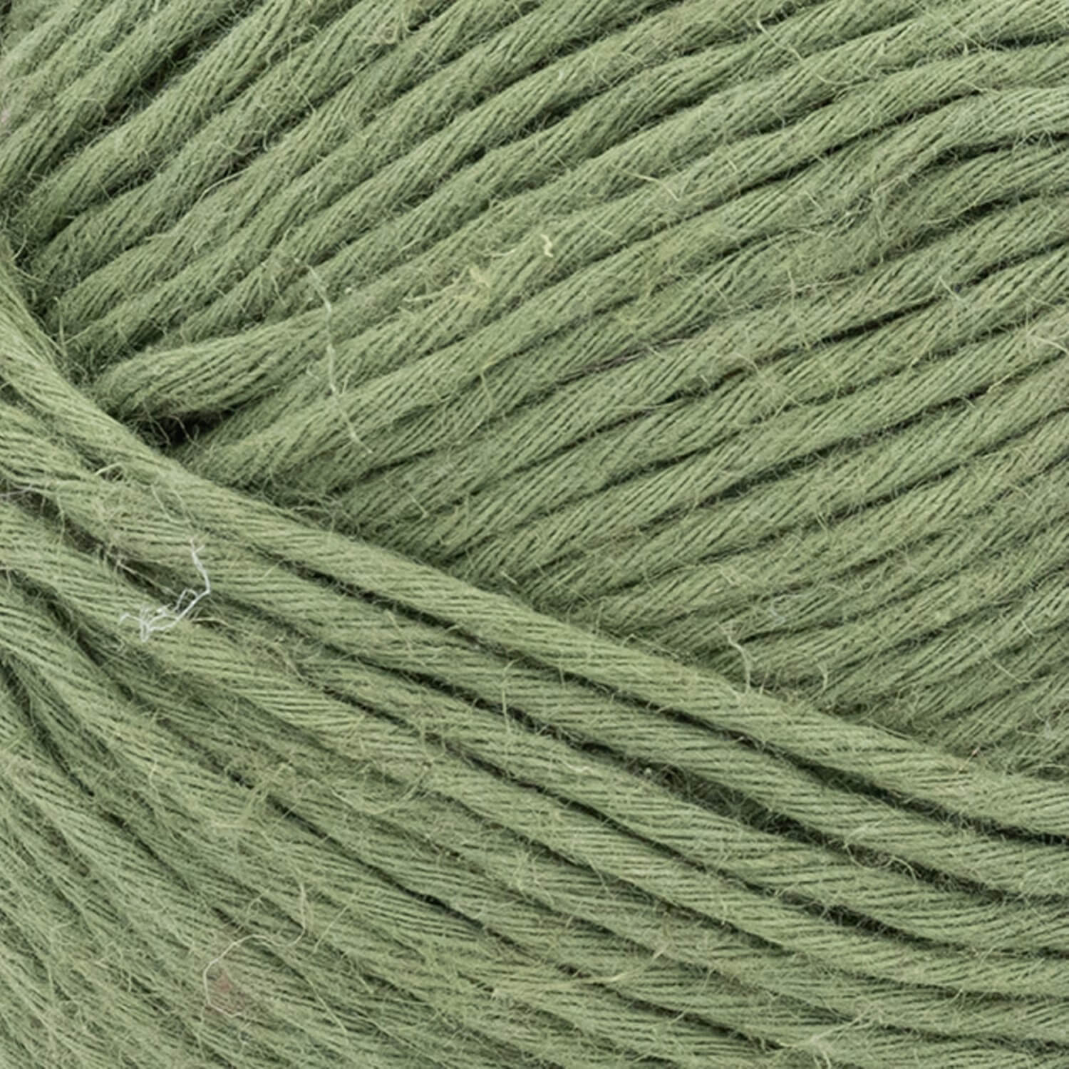 Cotton Hemp - Image 18