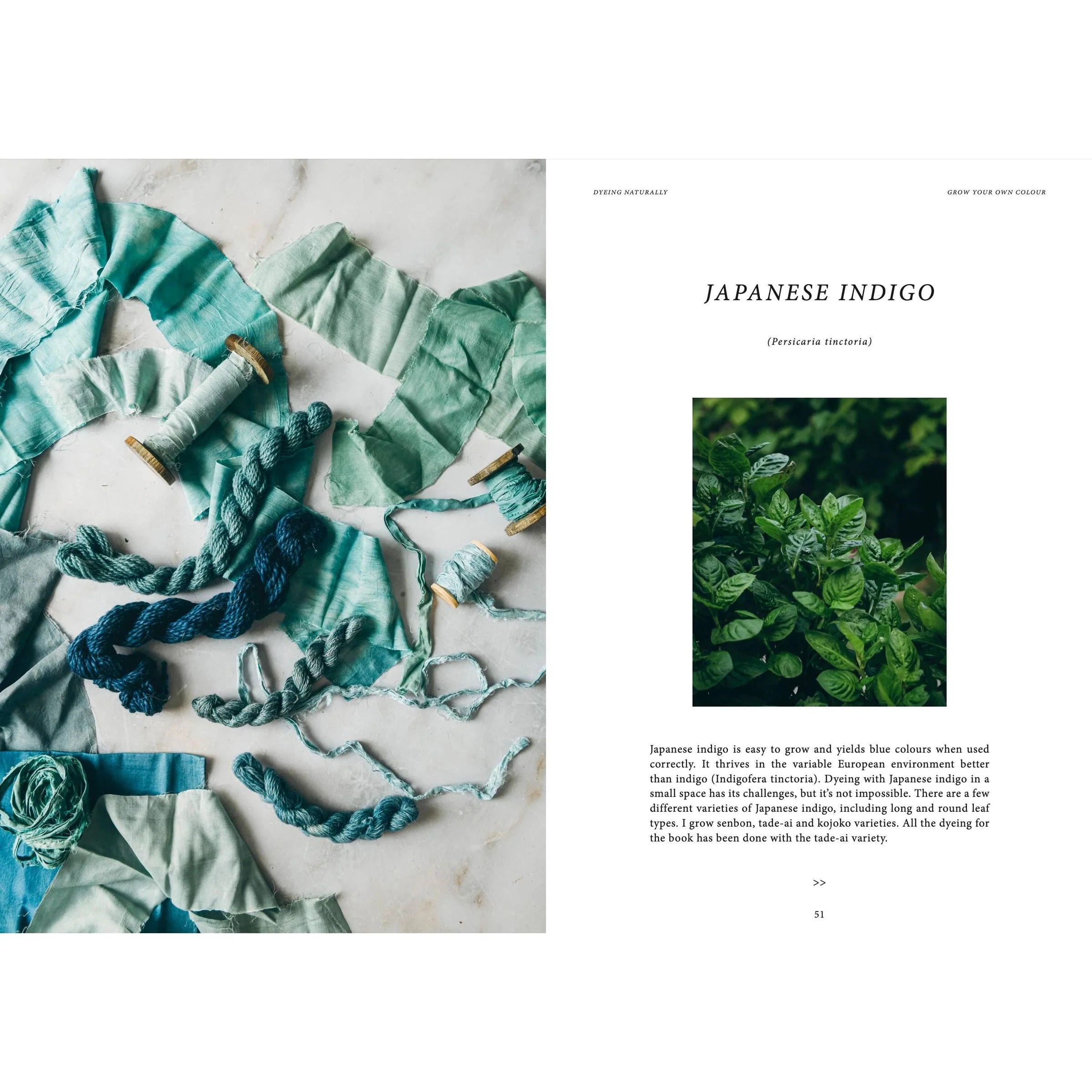 Crafts & Knitting: Dyeing Naturally - Image 10