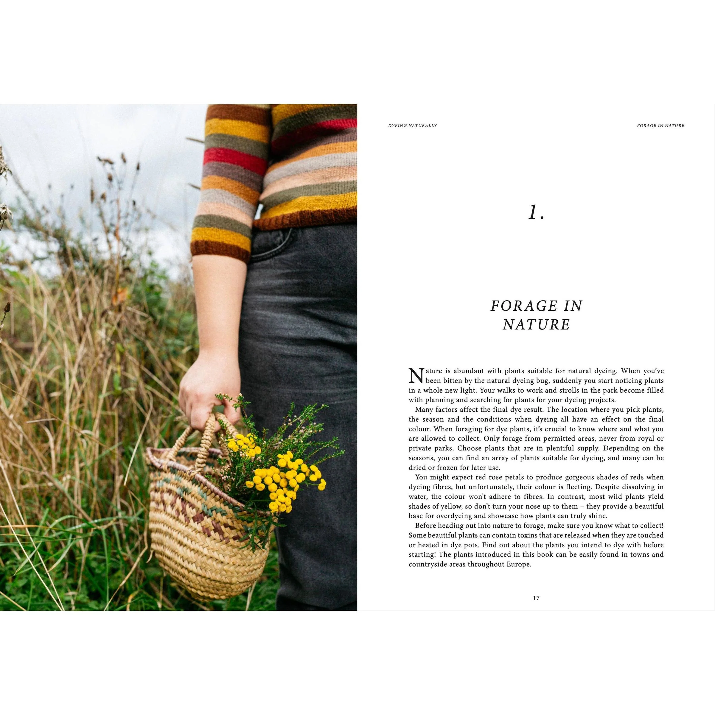 Crafts & Knitting: Dyeing Naturally - Image 2