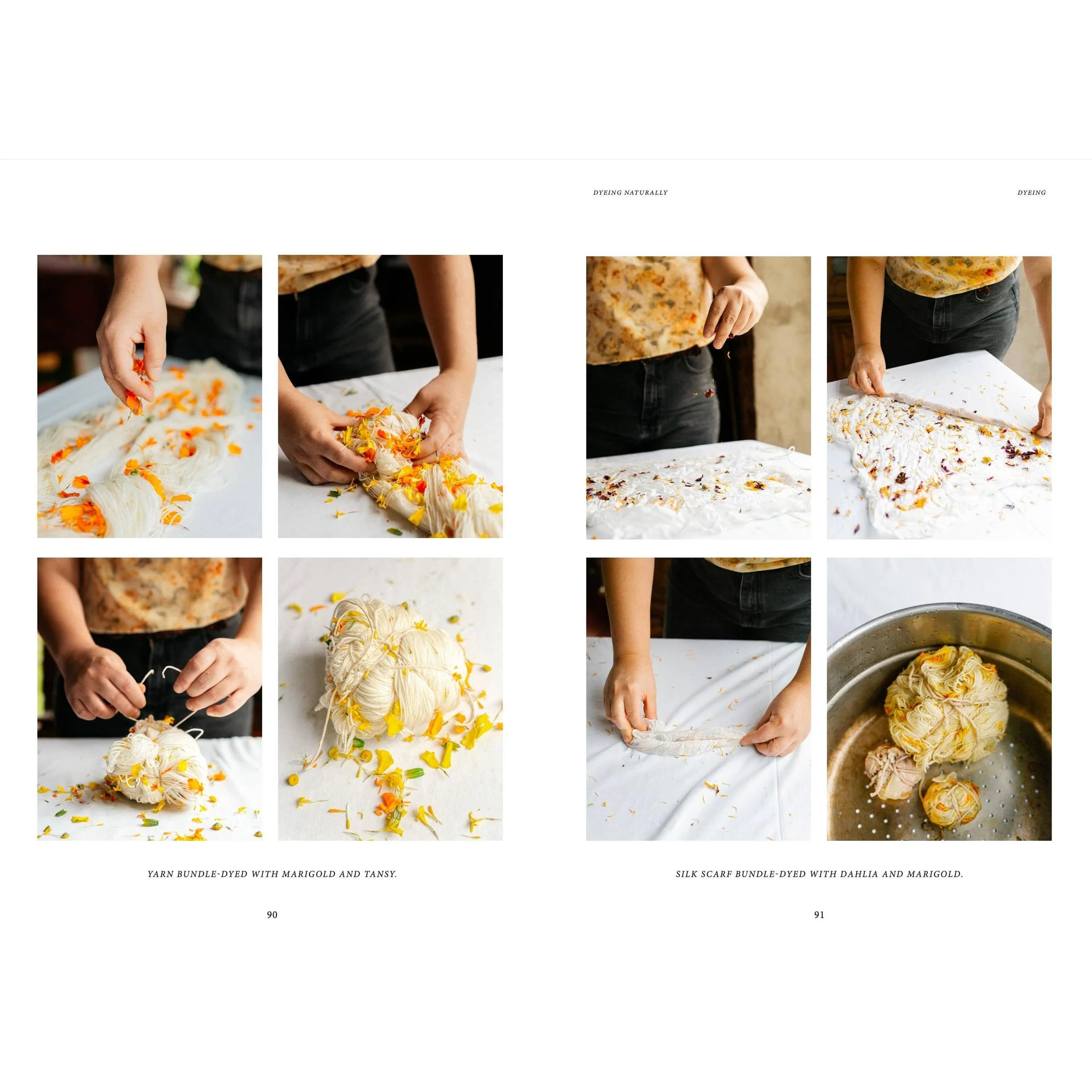 Crafts & Knitting: Dyeing Naturally - Image 8
