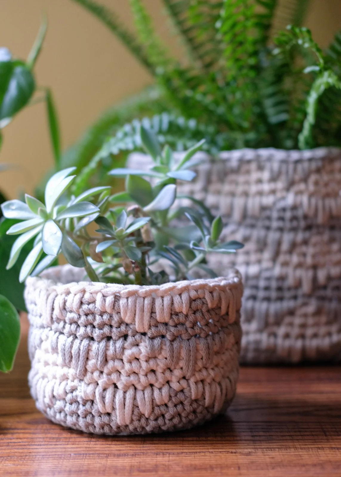 Crochet - Willoughby Basket