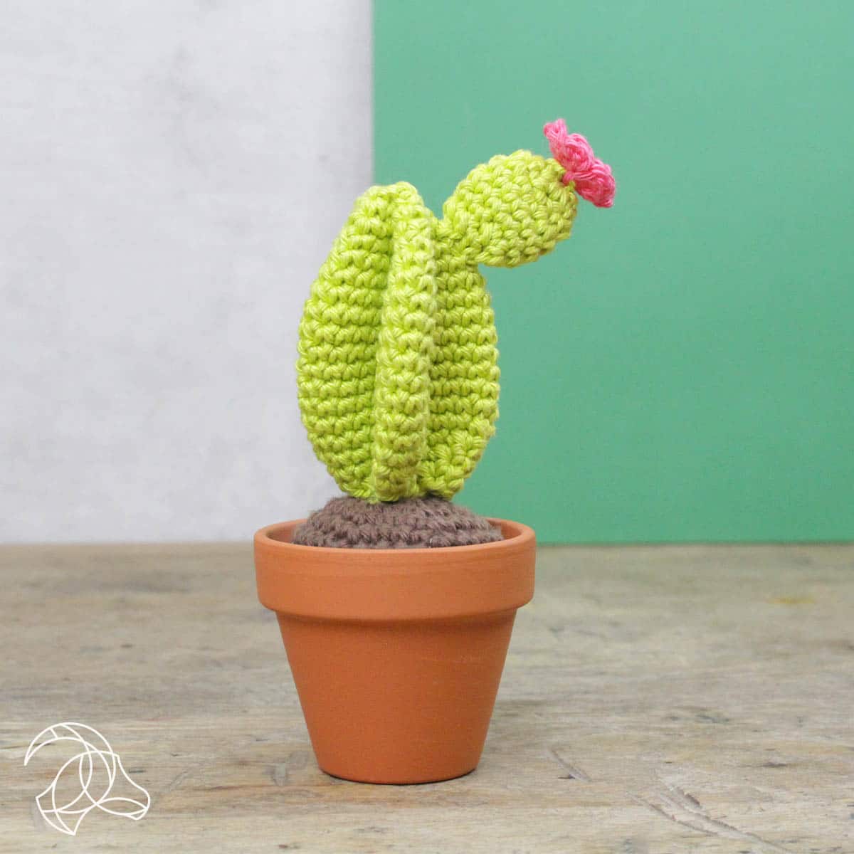 DIY Crochet Kit - Cacti - Image 2