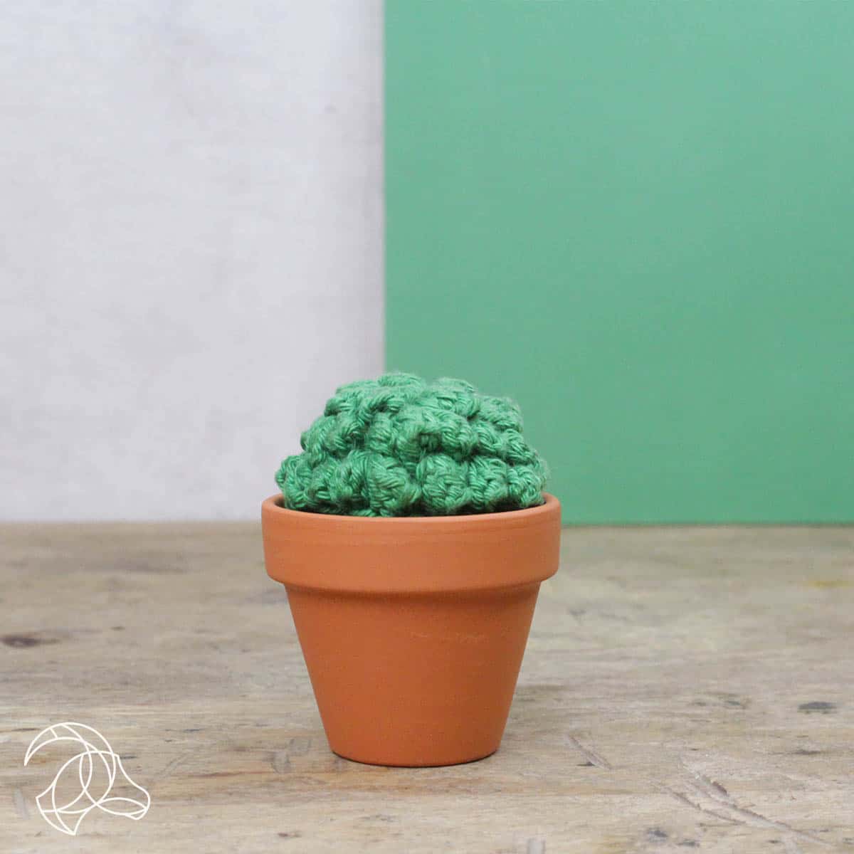 DIY Crochet Kit - Cacti - Image 3