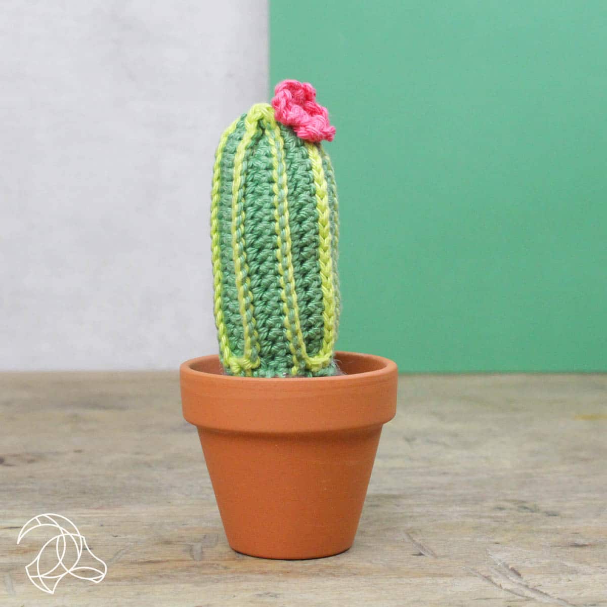 DIY Crochet Kit - Cacti - Image 4