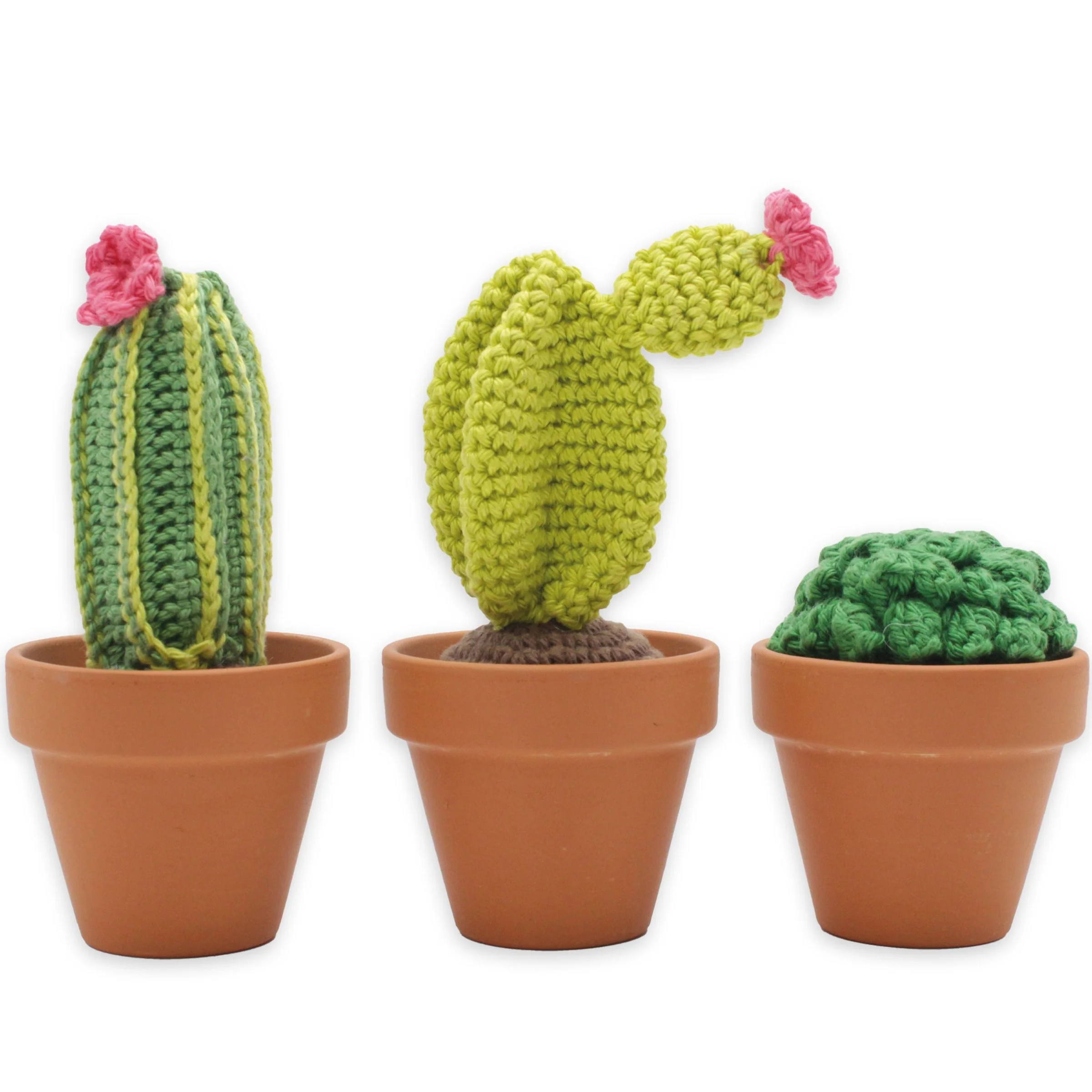 DIY Crochet Kit - Cacti - Image 5
