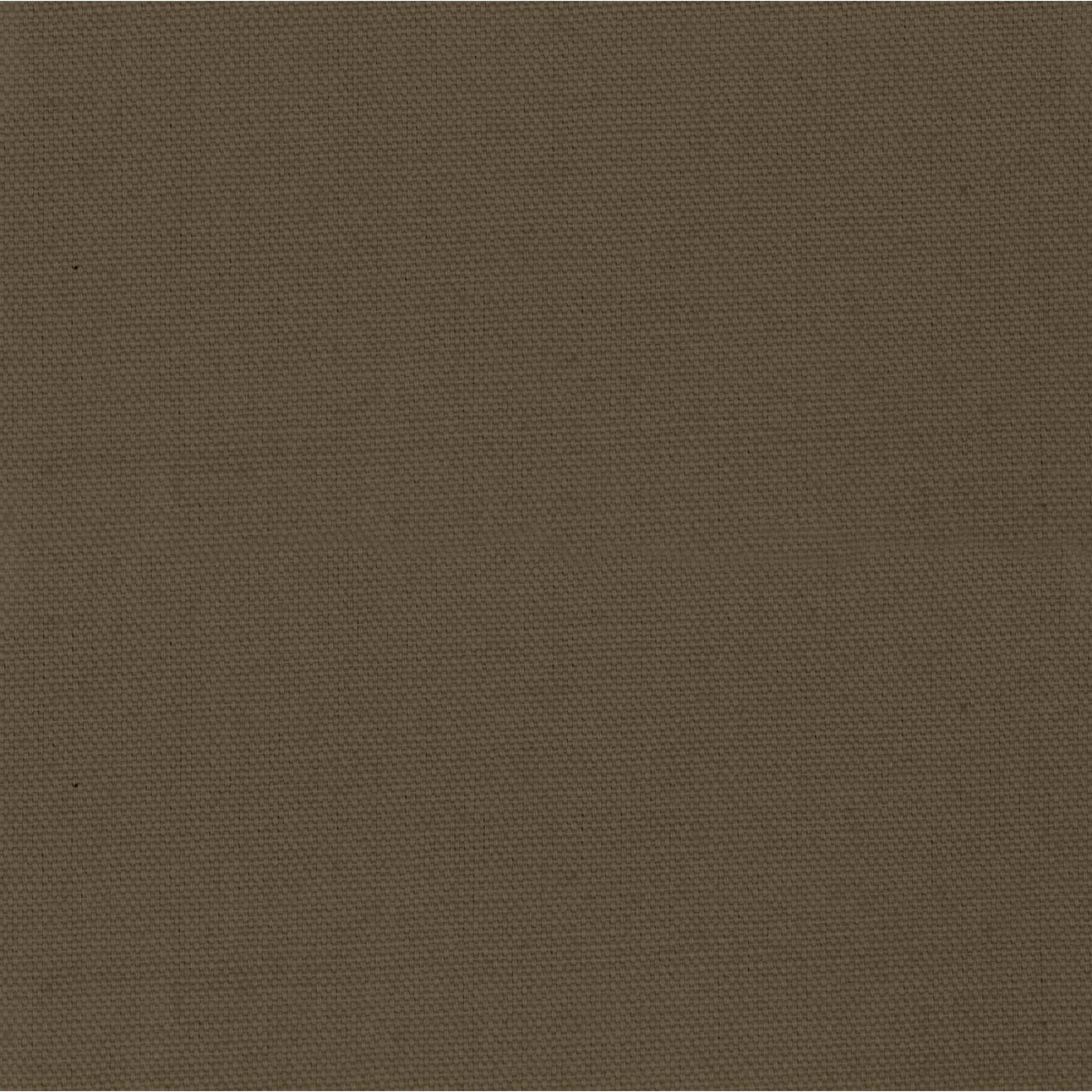 Duck Canvas - Image 2