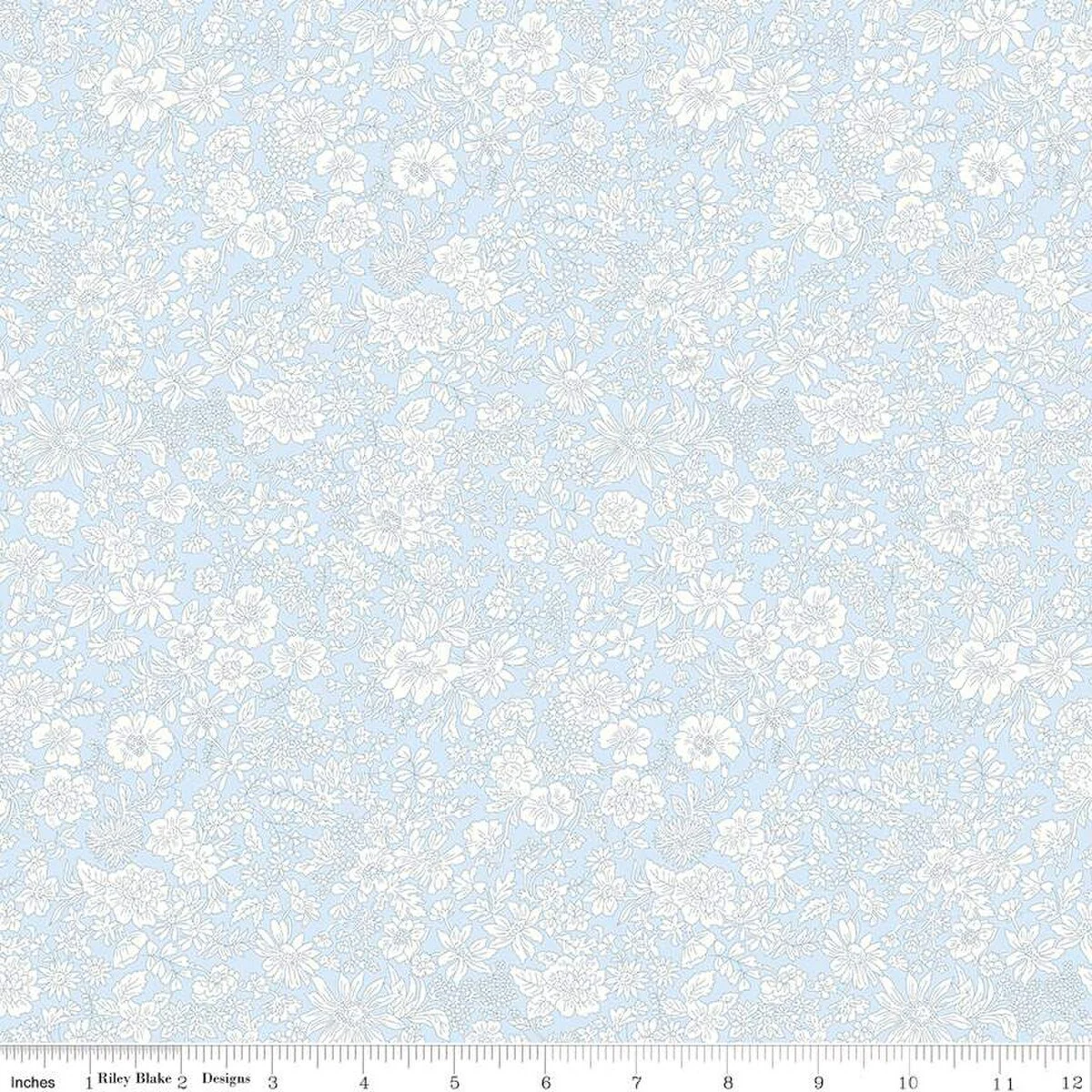 Emily Belle Pale Sky