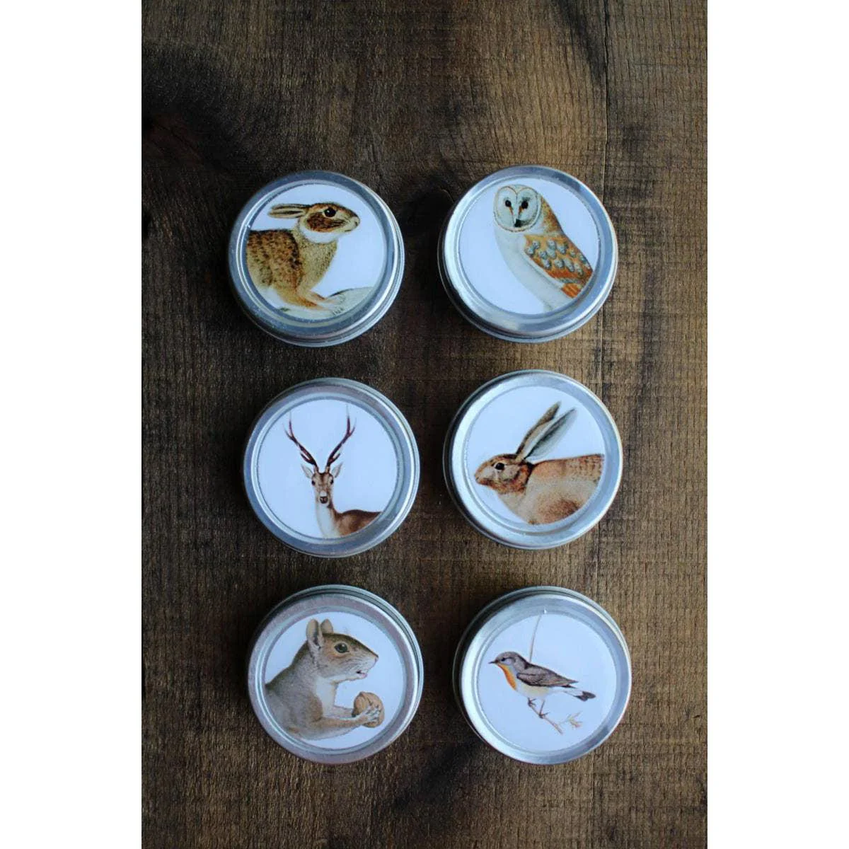 Forest Friends Mini Tins - Image 3