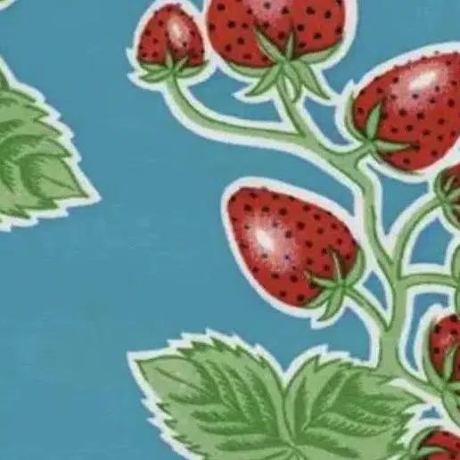 Forever Oilcloth on Lt. Blue