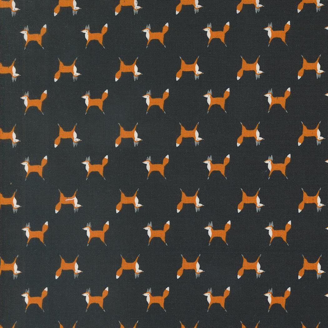 Fox Trot Midnight