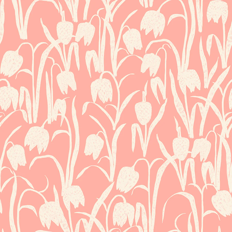 Fritillaria Bashful