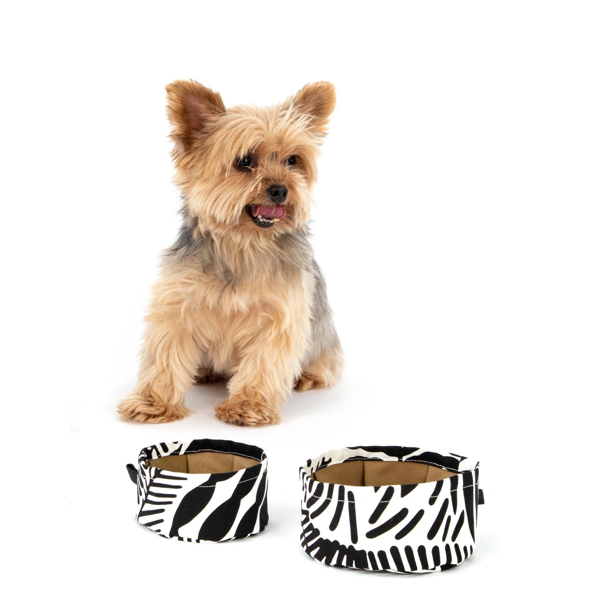 Galaxie Collection #4 Pattern - Accessories For Pets & Their Humans - PDF DOWNLOAD - Image 7