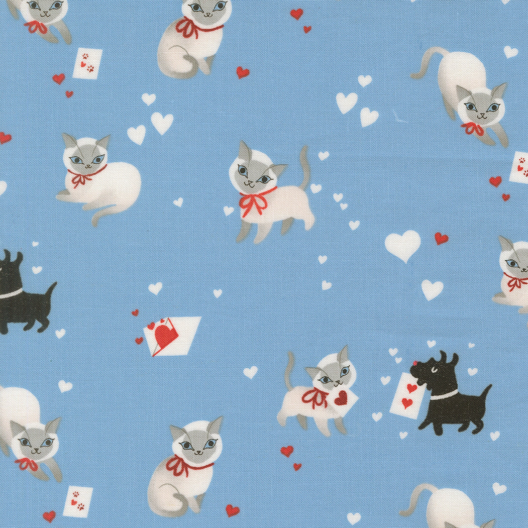 Kitty Sky