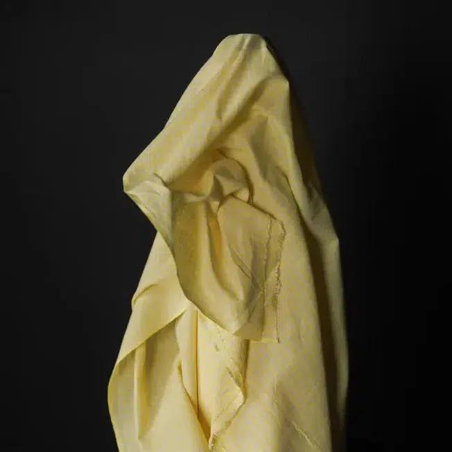 Lemon Squeeze Check Natural Indian Cotton - Image 2