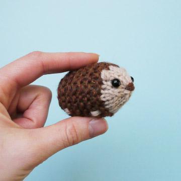 Starter Hedgehog Kit