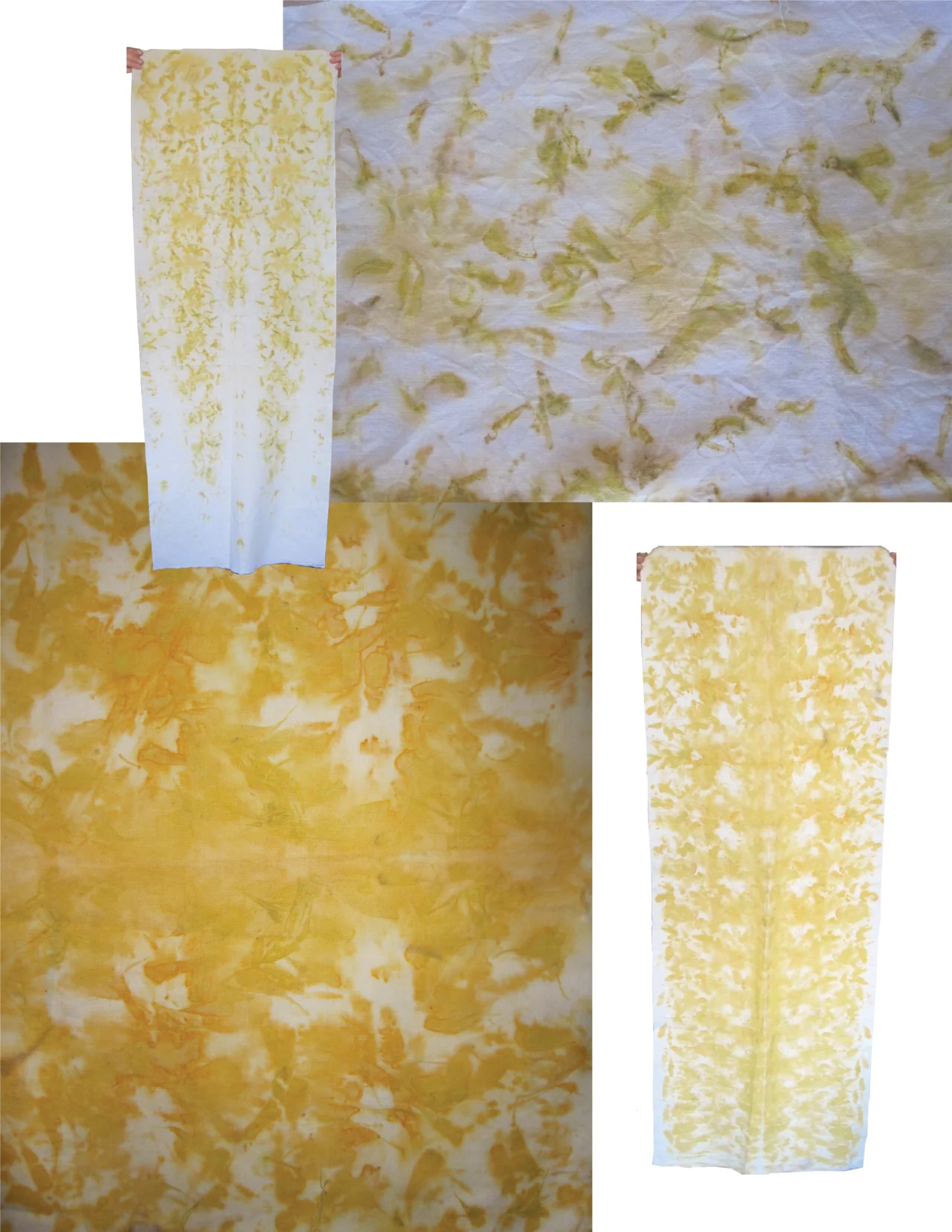 Natural Dyeing - Image 2
