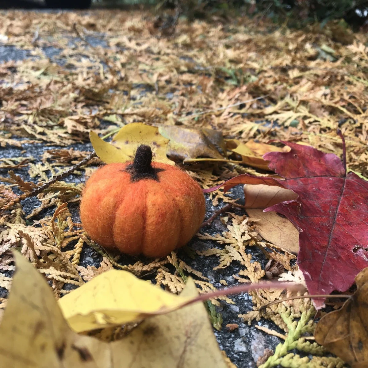 Needle Felted Pumpkin