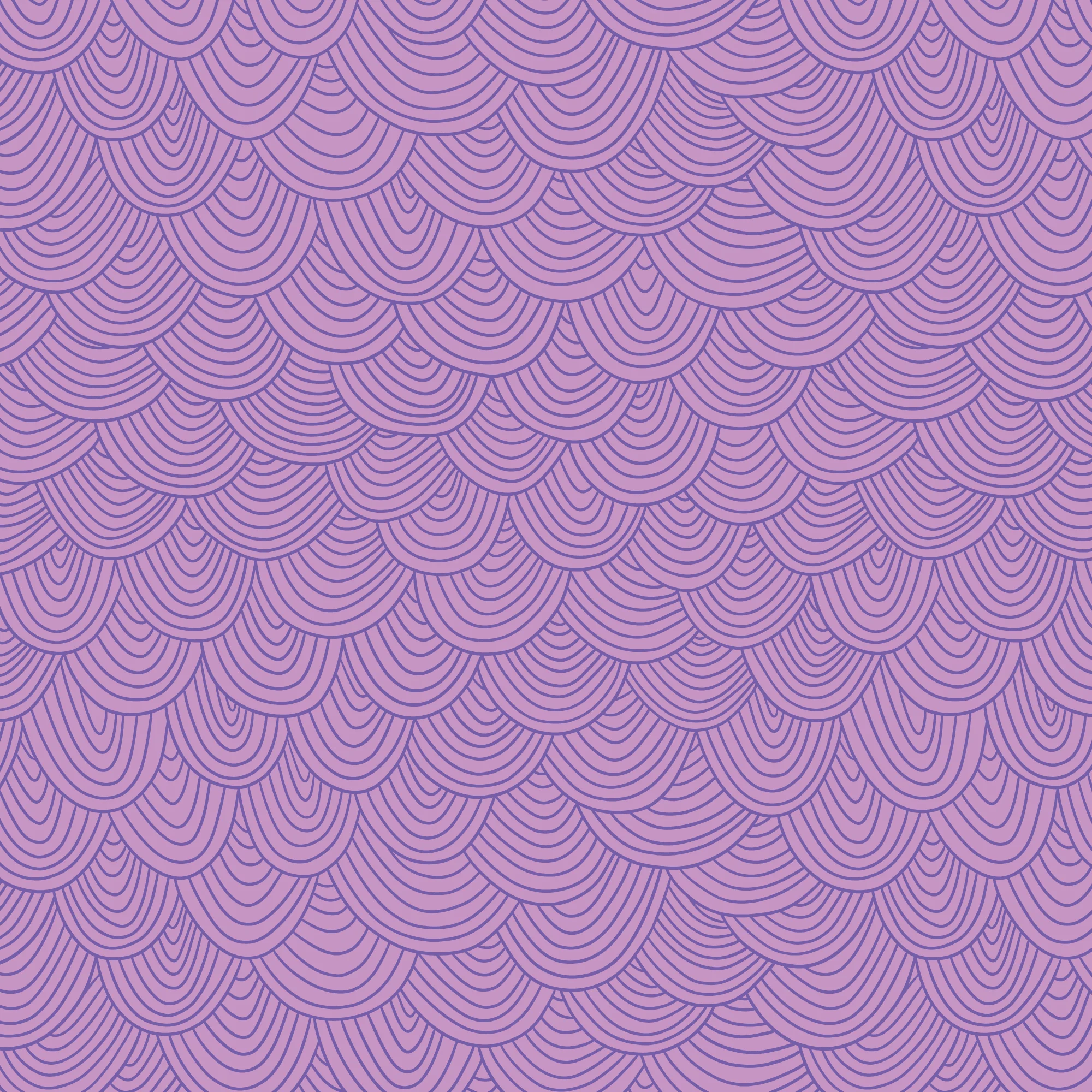 Orchid Scallop