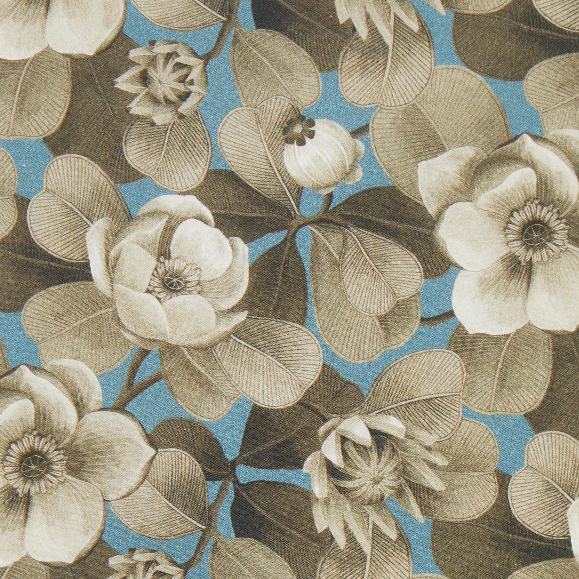 Piccadilly Poplin Cotton - Rosea Dusk