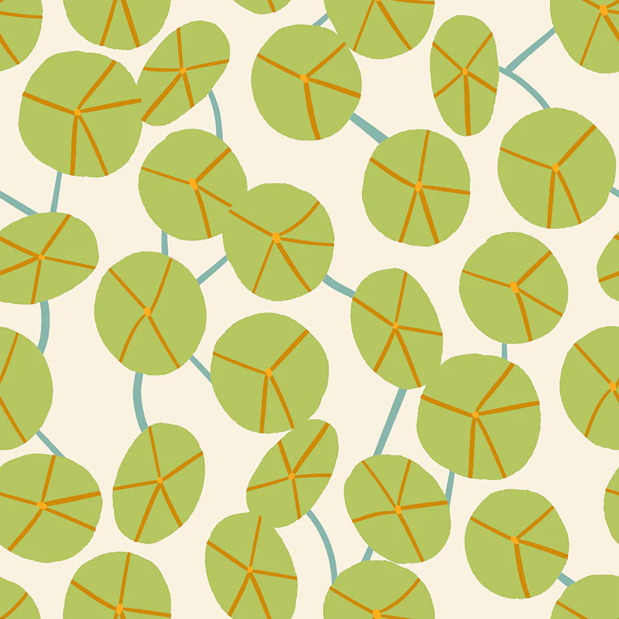 Pilea Natural
