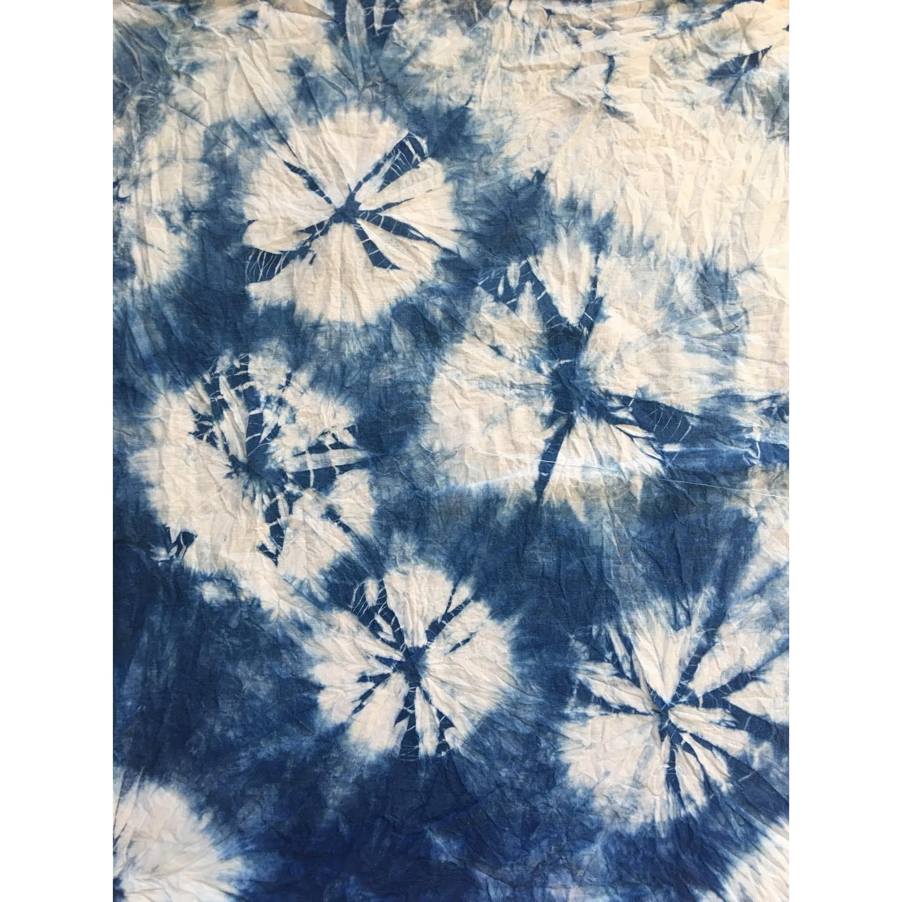 Exploring Indigo Dye