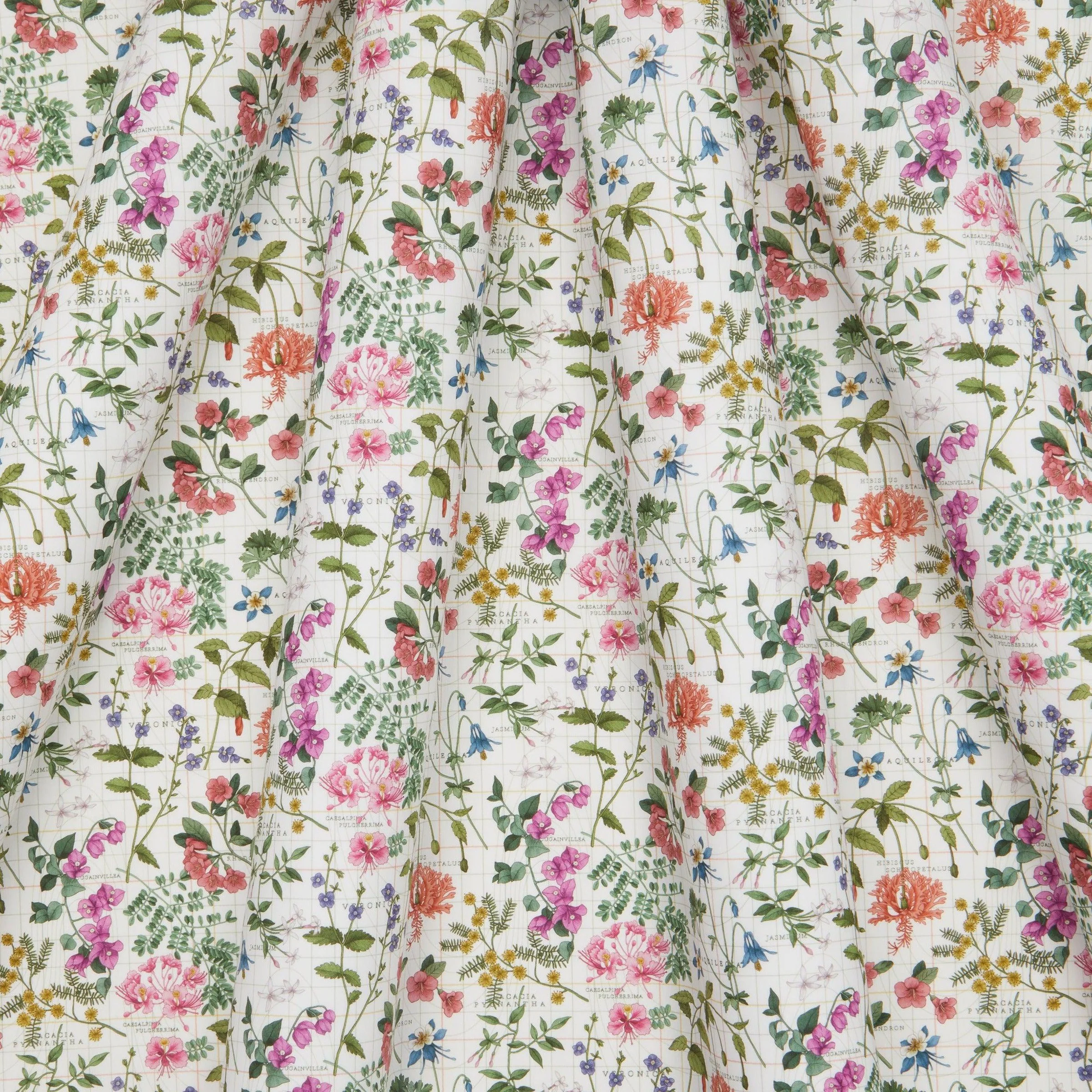 Tana Lawn - Botanist's Journey - Image 2