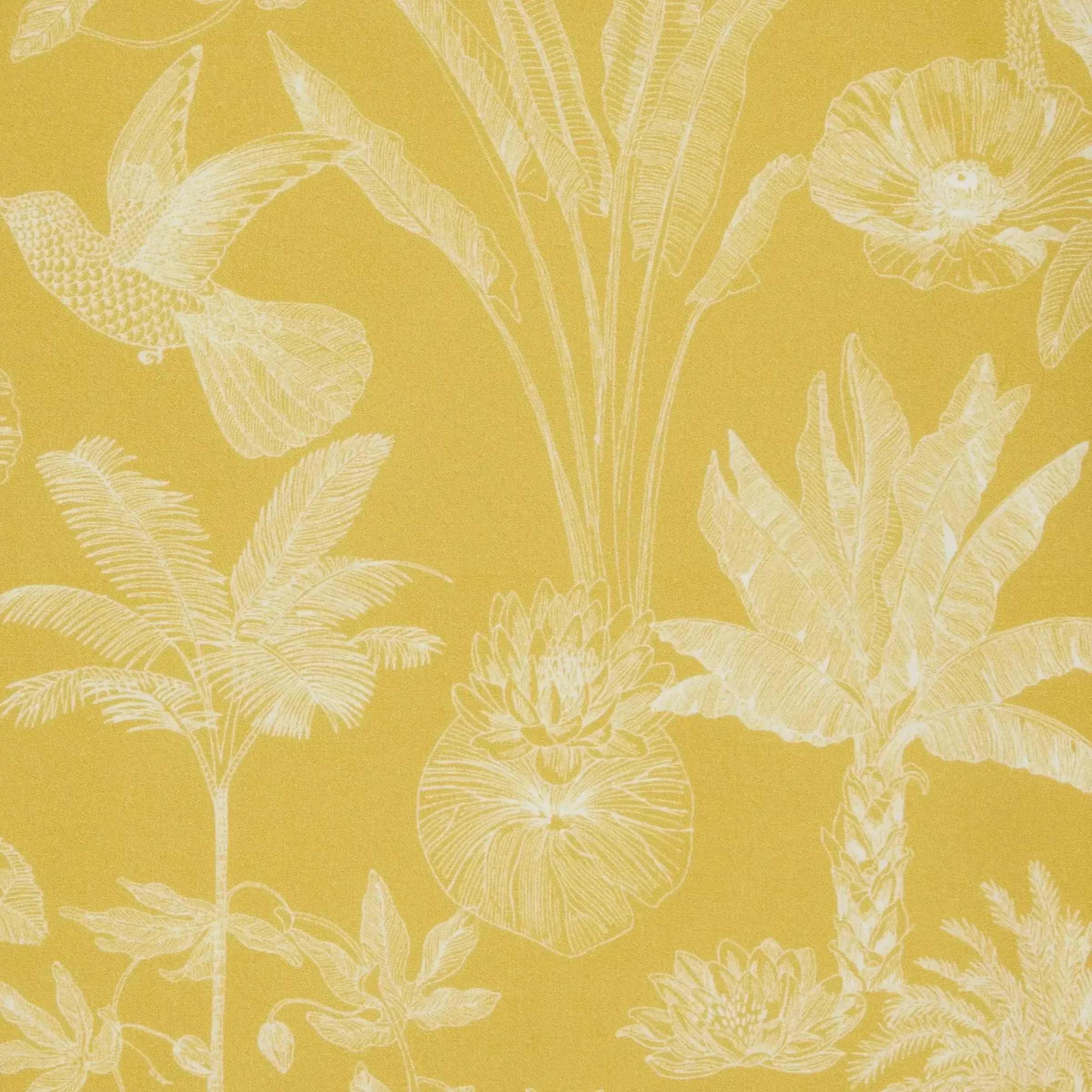 Tana Lawn - Darwin's Voyage