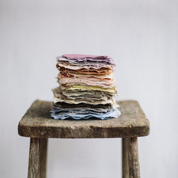 Wild Dyer - Image 2