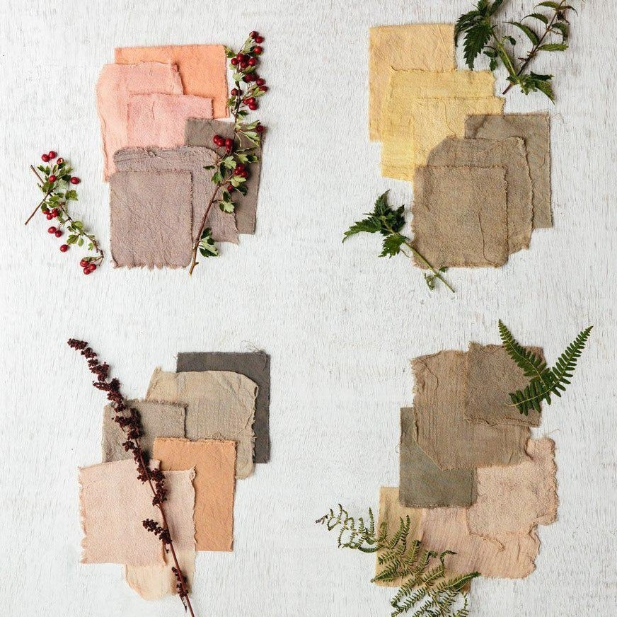 Wild Dyer - Image 3