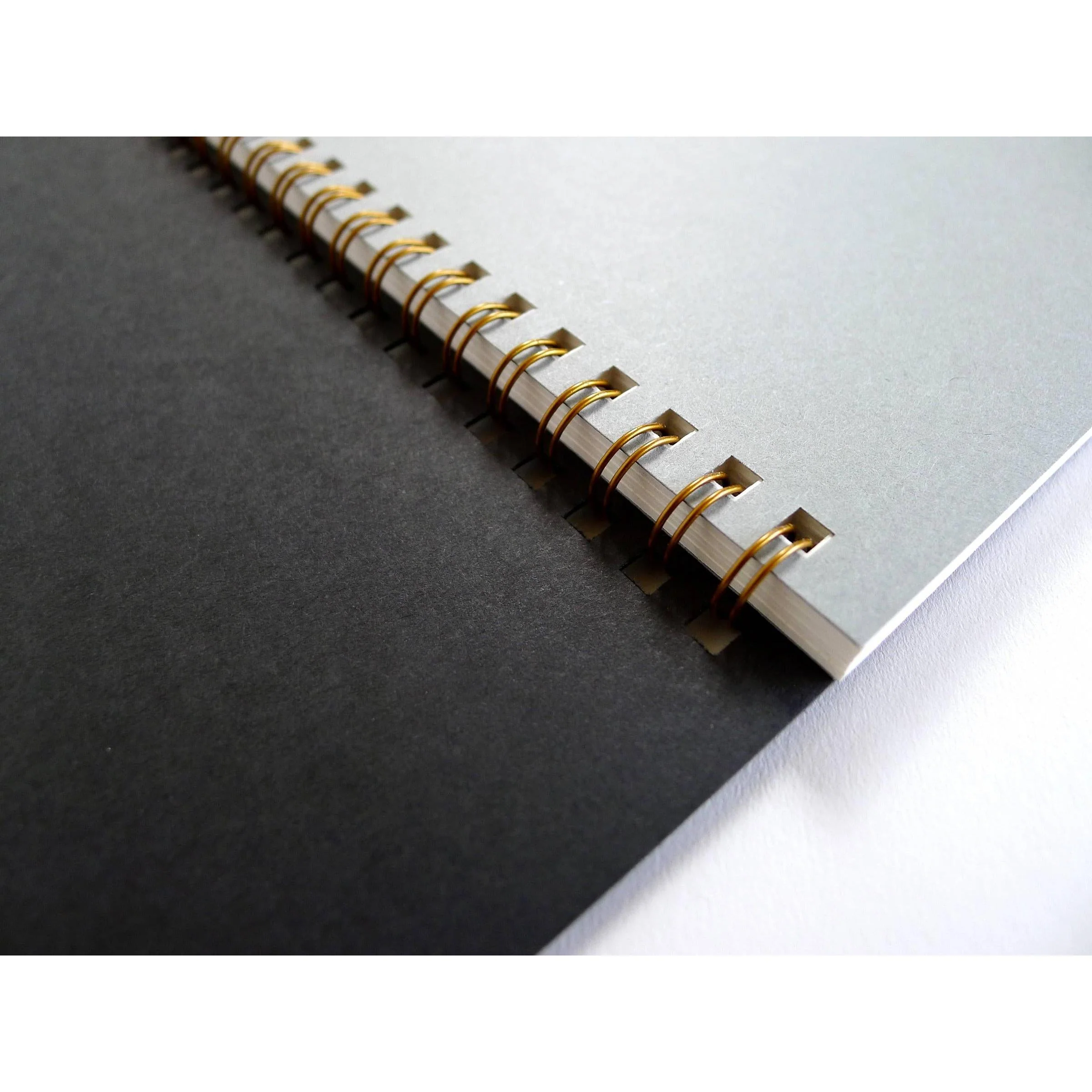 Large Blank Toad Coil Notebook - Image 4