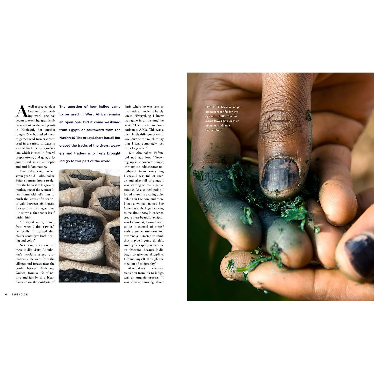 True Colors, 1st Edition - Image 3