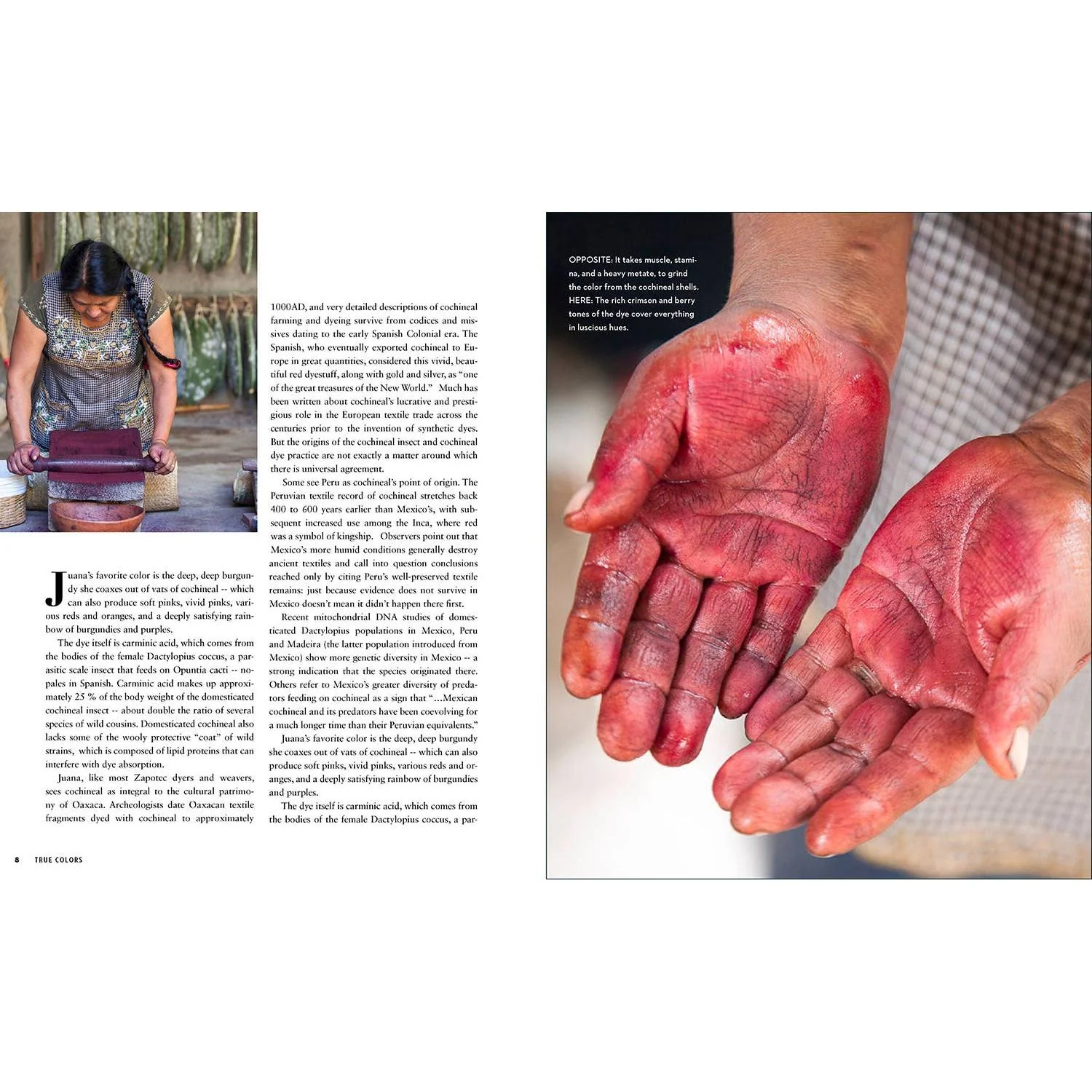 True Colors, 1st Edition - Image 5