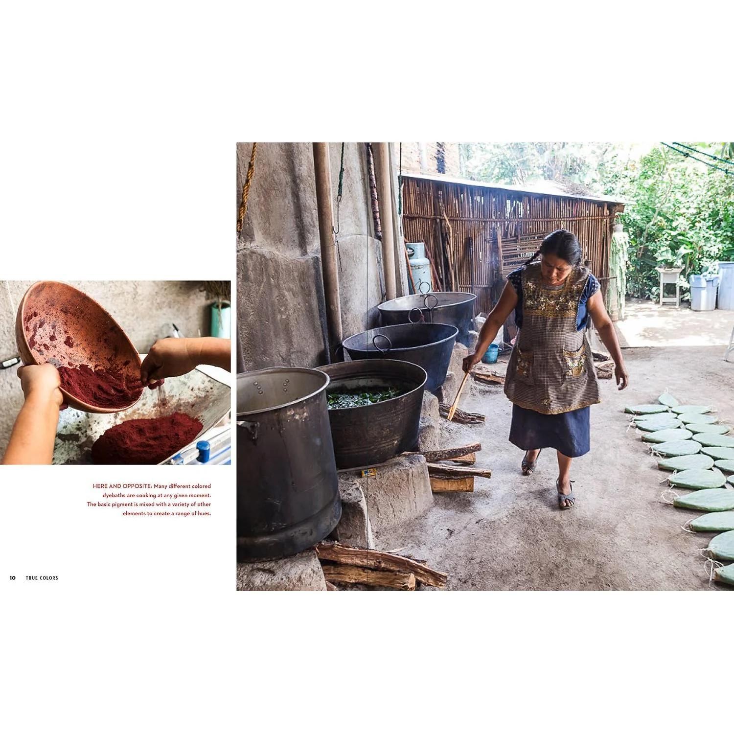 True Colors, 1st Edition - Image 6