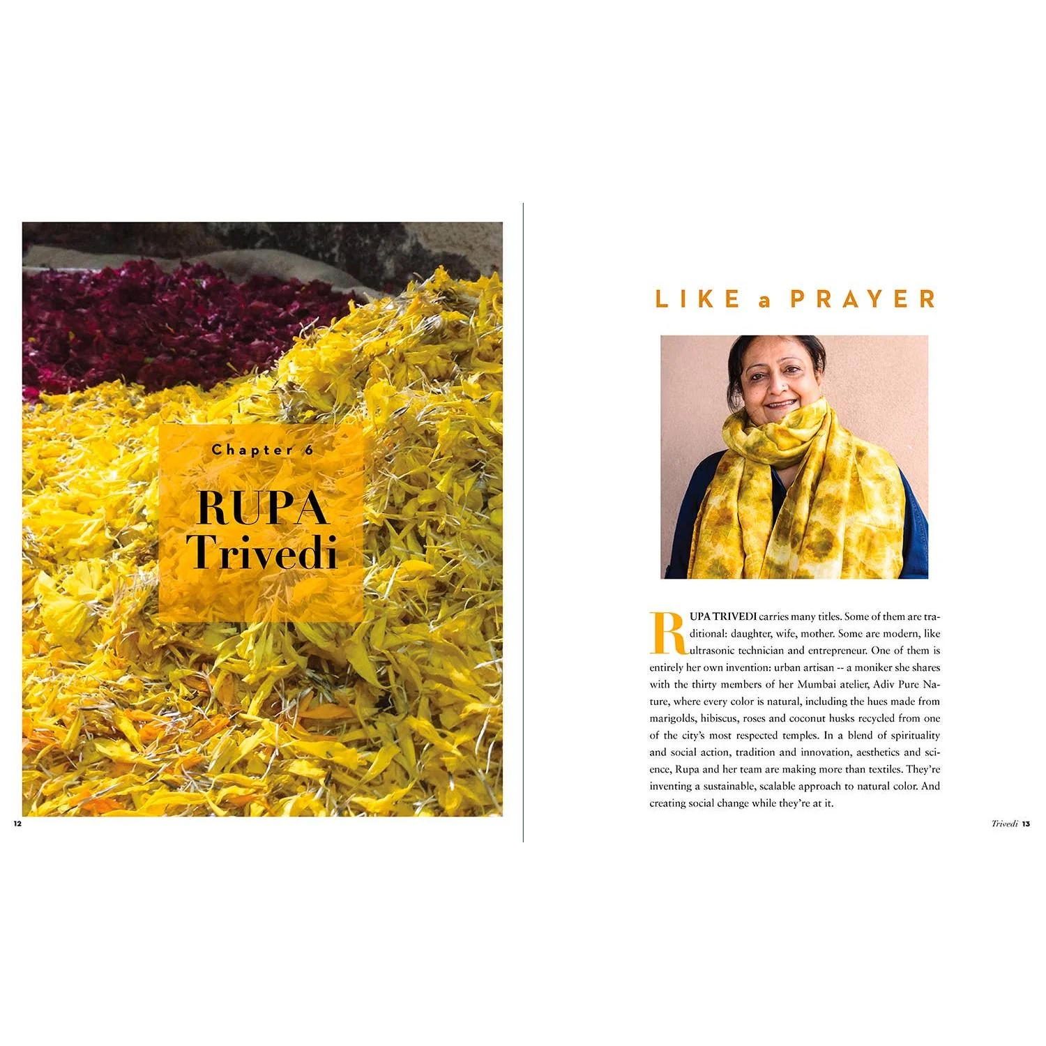 True Colors, 1st Edition - Image 7