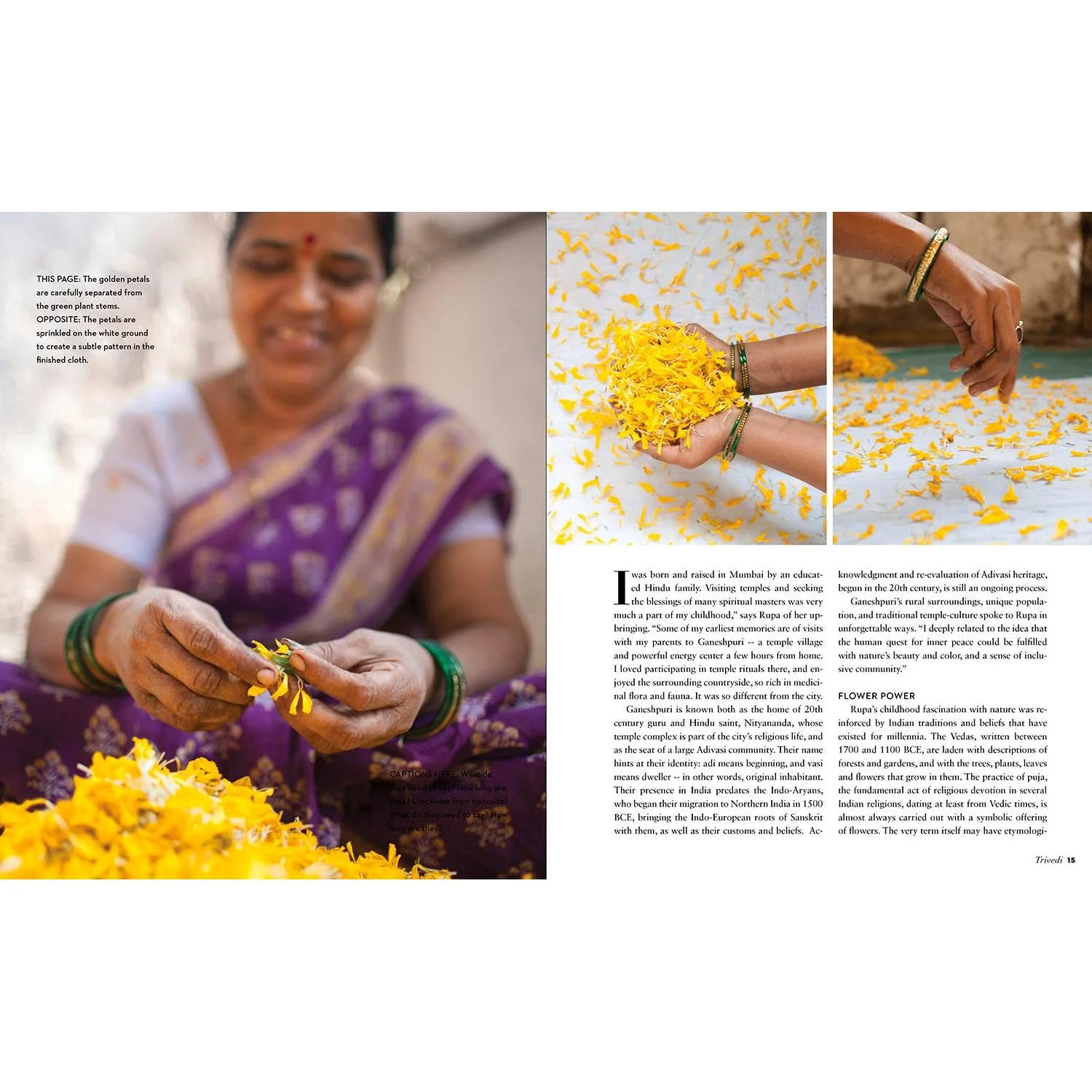 True Colors, 1st Edition - Image 8