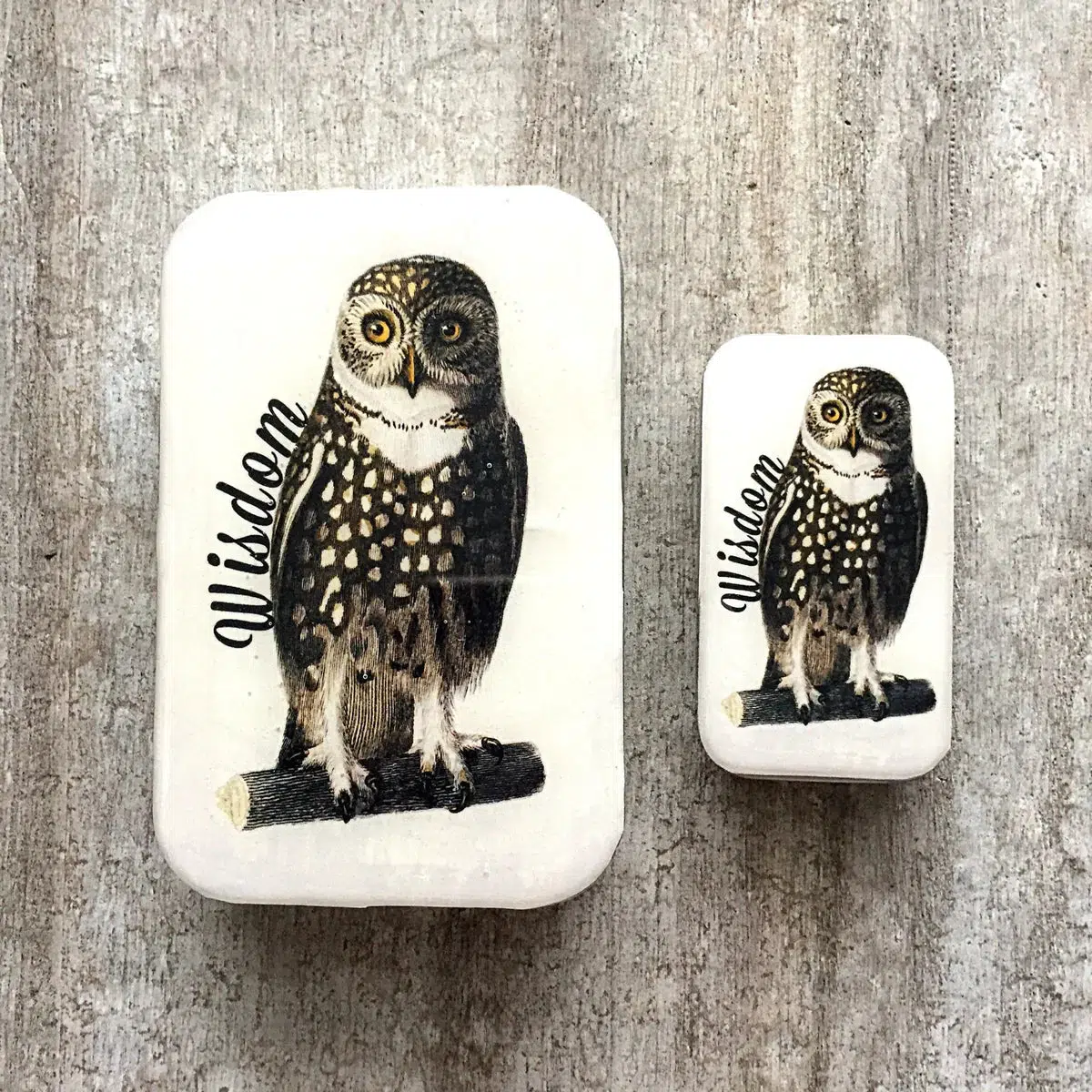 Wise Owl Small Notions Tin